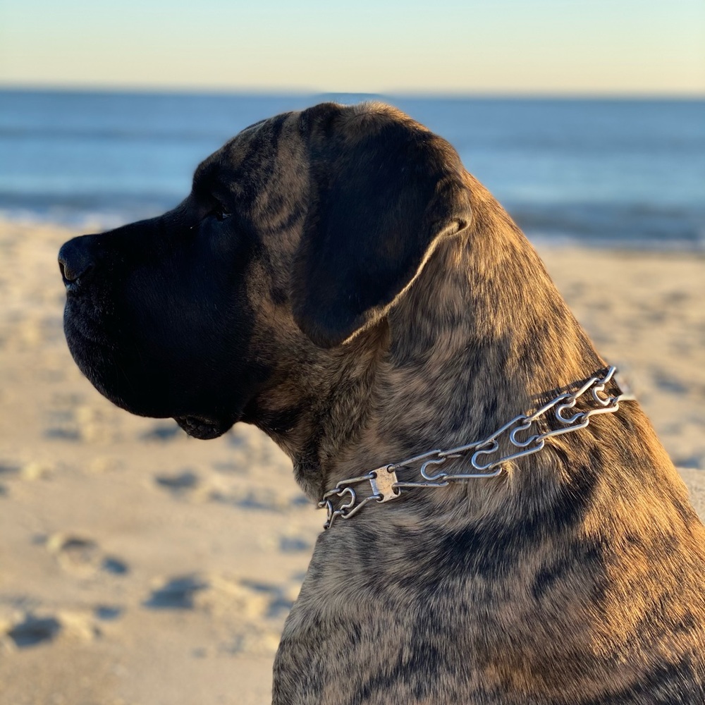 Meet your Posher, Mark